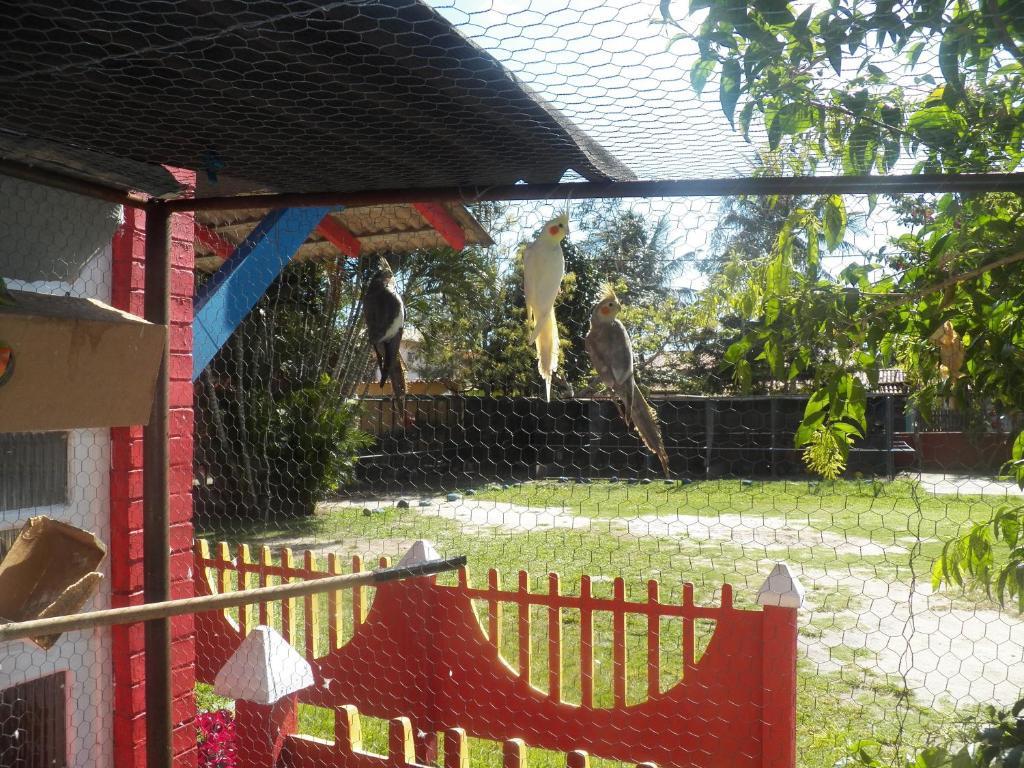 Pousada Solar Das Conchas Cabo Frio Buitenkant foto